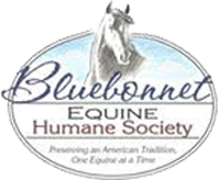 BlueBonnetequine Logo